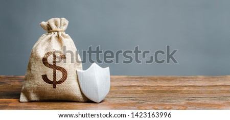 Bag with dollar symbol and protection shield. Concept of safety of money, guaranteed deposits. Client rights protection. Compensation for losses in inflation, safeguarded investment capital.