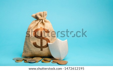 Bag with dollar symbol and protection shield. Concept security of money, guaranteed deposits. Client rights protection. Compensation for losses in inflation, safeguarded investment capital.