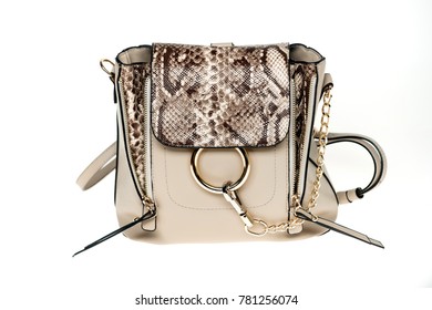 Bag Or Handbag Of Snake Skin Leather And Golden Chain Isolated On White Background. Fashion, Accessory Concept