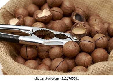 a bag of macadamia nuts and a nutcracker on top. High quality photo