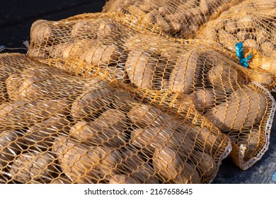 Bag Of Organic Potatoes On The French Market Place