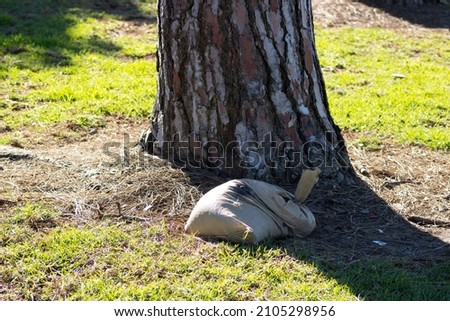 Bag of sand near tree trunk
