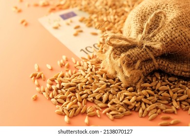 A bag of wheat is large, blurry, next to a hundred euro bill and grains of wheat scattered on the table. The concept of a fruitful year. Export and import. - Shutterstock ID 2138070127