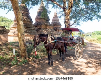  Bagan Myanmar - The Images Of   Pagan Kingdom ,people& Temple,Nov 2019