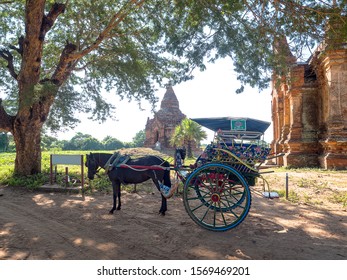  Bagan Myanmar - The Images Of   Pagan Kingdom ,people& Temple,Nov 2019