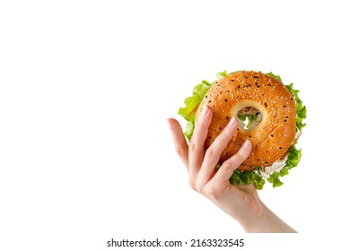 Bagel with prosciutto, cream cheese in woman hand. Holding a Sandwich with lettuce for breakfast on white background. Space for text - Powered by Shutterstock