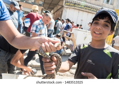 Baghdad, Iraq – July 5, 2019: At Baghdad Market An Optimistic Young Boy Makes Money By Entertaining Snake Buyers