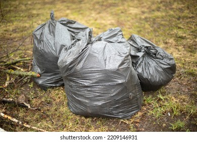 Bags Of Garbage On Street. Black Bags. Cleaning In Yard. Plastic Waste Bag.