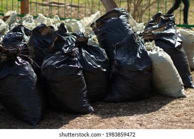 Bags Of Leaves. Waste Bags. The Result Of Cleaning The Yard. Lots Of Waste Bags Inside.