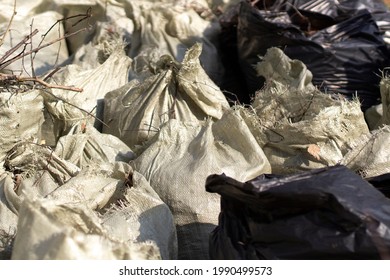 Bags Of Leaves. Waste Bags. The Result Of Cleaning The Yard. Lots Of Waste Bags Inside.