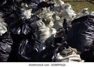 Bags Of Leaves. Waste Bags. The Result Of Cleaning The Yard. Lots Of Waste Bags Inside.