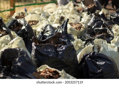 Bags Of Leaves. Waste Bags. The Result Of Cleaning The Yard. Lots Of Waste Bags Inside.