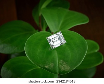 Baguette Cut Diamond. Big Ethical Lab-Grown Diamond on Green Leaf. Ethical Fashion Eco-Friendly Gemstone Photo.