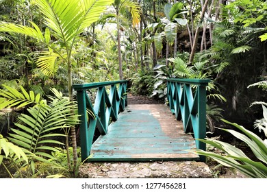 Bahamas, Freeport; Garden Of The Groves