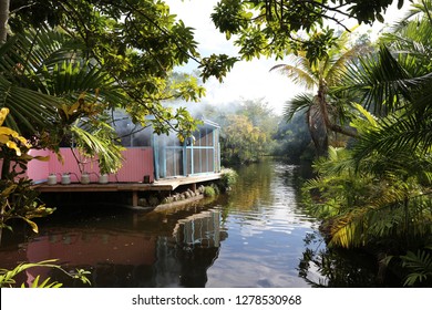 Bahamas, Freeport; Garden Of The Groves