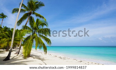 Bahamas palms beach landscape. Clear blue sea and white sand. Beach and sea and sky tropical paradise beach background.