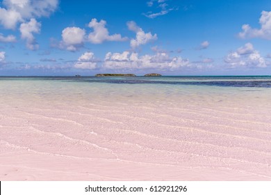 Bahamian Pink Sand Beach