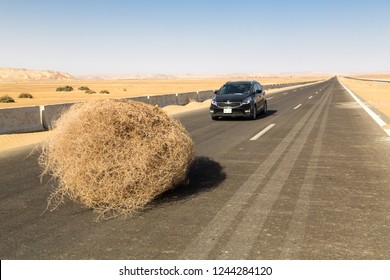 Bahariya, Egypt - Nov 22, 2018: A Car Stopped By A Giant Tumbleweed On A Highway With Sandy Dunes, Between Bahariya Oasis And Farafra, Western Desert Of Egypt, Between Giza Governorate And New Valley