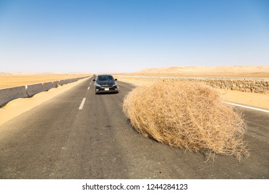 Bahariya, Egypt - Nov 22, 2018: A Car Stopped By A Giant Tumbleweed On A Highway With Sandy Dunes, Between Bahariya Oasis And Farafra, Western Desert Of Egypt, Between Giza Governorate And New Valley