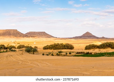 Bahariya Oasis, Egypt