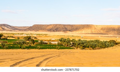 Bahariya Oasis, Egypt