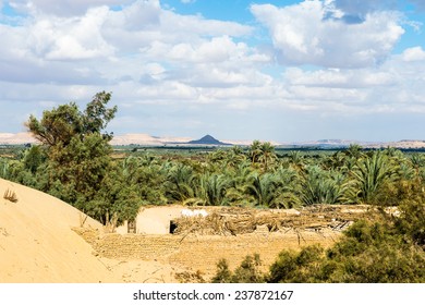 Bahariya Oasis, Egypt