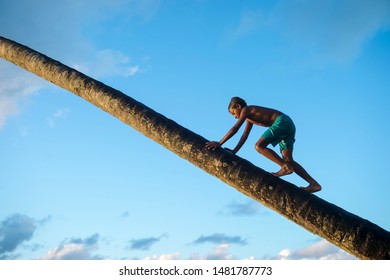 BAHIA, BRAZIL - MARCH, 2018: A Brazilian Child Climbs Across The Curving Trunk Of A Palm Tree On His Way To Jumping Into The Sea Below.