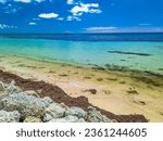 Bahia Honda State Park - Calusa Beach, Florida Keys - tropical coast with paradise beaches - USA