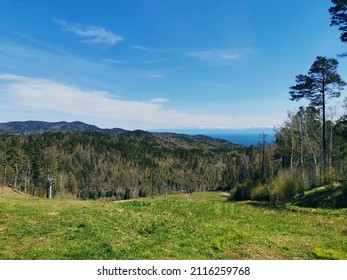 Baikal Forest In The Mountains