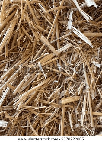 Bailed straw texture close ups on straw
Bailed hay texture close up
