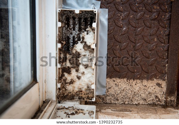 Baits Stations Put On Ground Floor Stock Photo Edit Now 1390232735