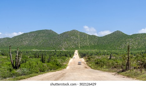 Baja California. Mexico