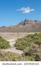 Baja Califronia Sur landscape, beautiful clouds in a blue sky with mountains rocks and vegetation in the desert. Vertical