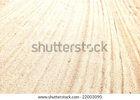 Baja Sands