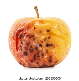 Baked Apple Isolated On The White Background