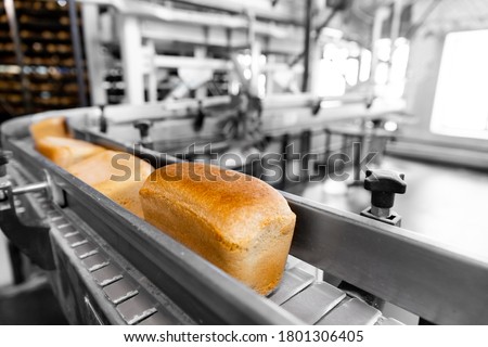 Baked breads on automatic production line bakery from hot oven.