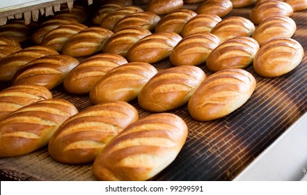 Baked Breads on the production line at the bakery