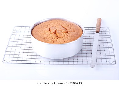 Baked Chiffon Cake In A Round Baking Tin With Slicer