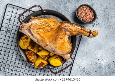 Baked Guineafowl, guinea fowl with potato in steel tray. Gray background. Top view.