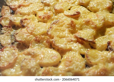 Baked Potatoes With Cheese On A Baking Sheet. Fresh Potato Gratin For Family Dinner. Vegetarian Food For Holiday Celebration. Close Up View