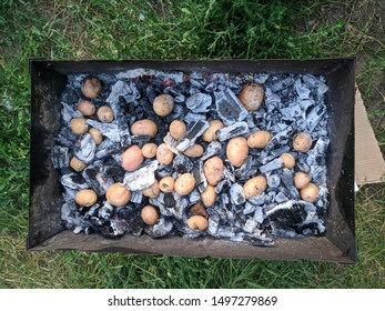 Baked Potatoes In The Hot Coals In A Camp Fire. Top View