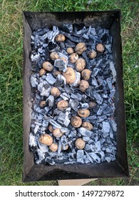 Baked Potatoes In The Hot Coals In A Camp Fire. Top View