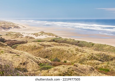 Baker Beach, Oregon, USA. Grassy dunes and a sandy beach on the Oregon coast.