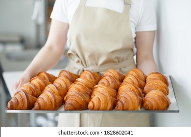 Baker carrying freshly baked crispy golden croissants on a metal tray to cool. Holding it by the sides. - Powered by Shutterstock