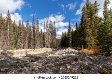 Baker Creek On The Bow Valley Parkway In Banff National Park, Al