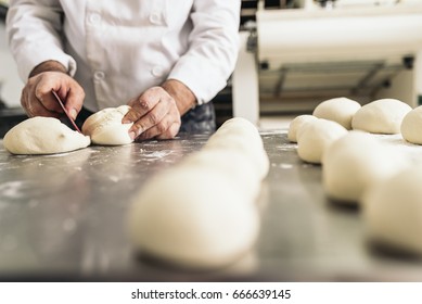 Baker kneading dough in a bakery. Bakery Concept. - Powered by Shutterstock