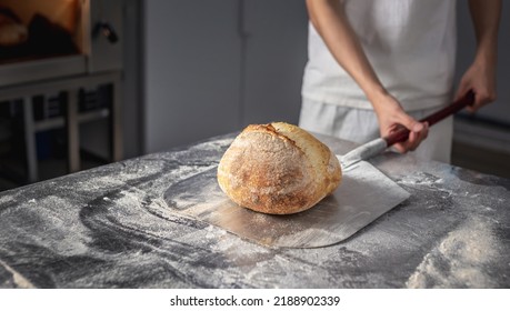 The baker is a man in the process of baking bread. Production of bakery products as a small business.