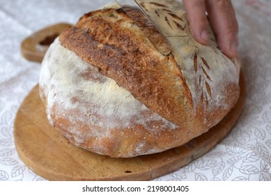 Baker slicing fresh baked wheat bread loaf. Loaf of crusty sourdough bread with wholegrain flour and seeds. Baking holding knife to cut wholegrain bread on half. Crusty bread with hand scoring. - Shutterstock ID 2198001405