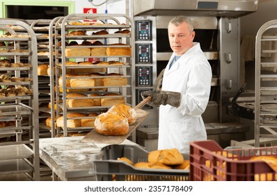 Baker takes out hot bread from the oven. High quality photo - Powered by Shutterstock