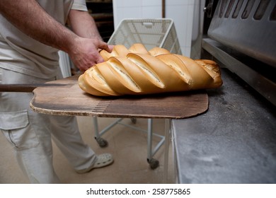 Baker taking fresh baked bread from the slice to the box. Manufacturing process of spanish bread